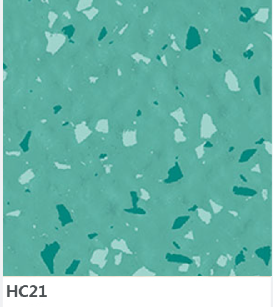 HC21