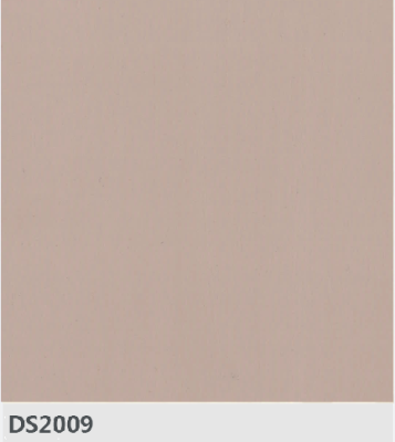 DS2009