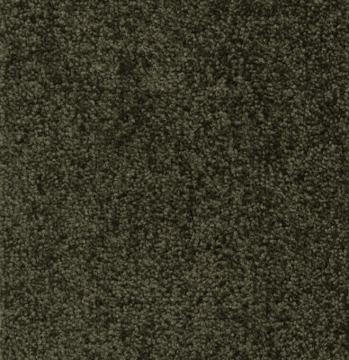 Transmit 650, ширина 4 м