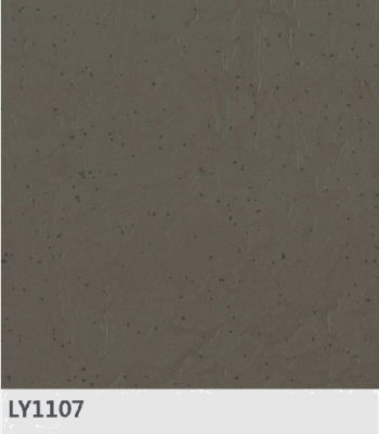 LY1107