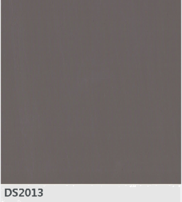 DS2013