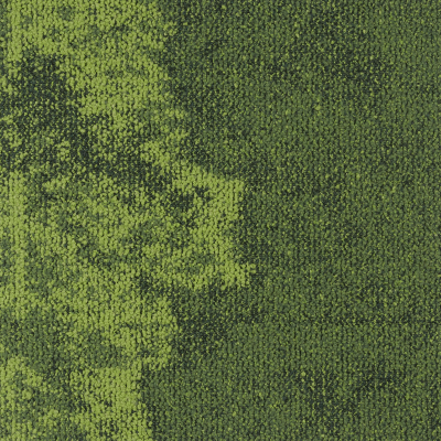 Discover B05  0.5*0.5 м