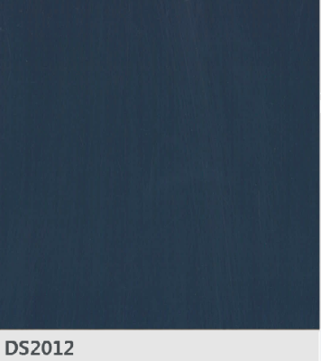 DS2012