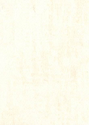 Muraspec Chateau Toulouse  P2070 - 0,53x10.05 м