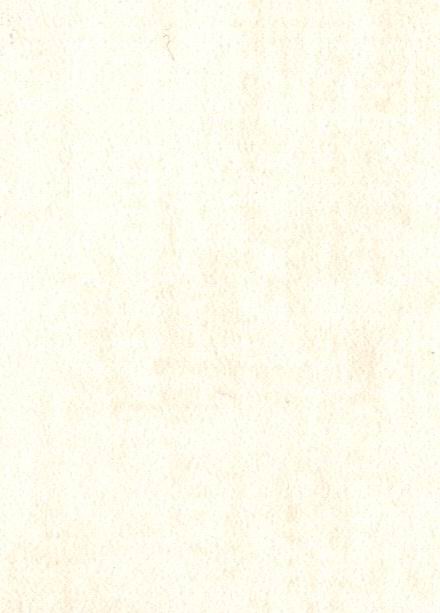 Muraspec Chateau Toulouse  P2070 - 0,53x10.05 м