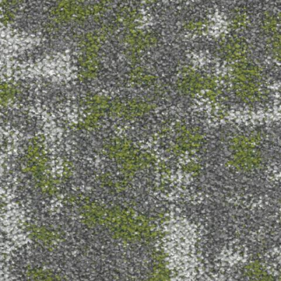 Create Small 622 Fern 0.5x0.5 m