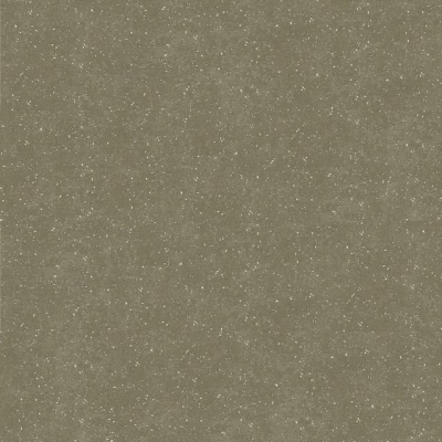 A01301 Warm Ash  50X50см