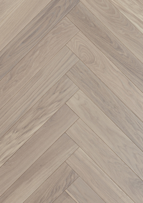 OAK COTTON HB