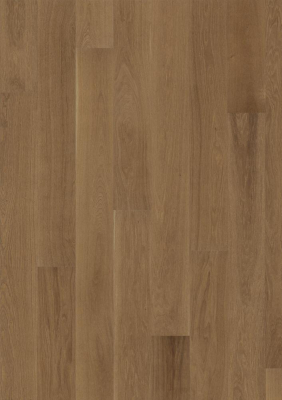 OAK STORY BRUSHED ANTIQUE , однополосный 