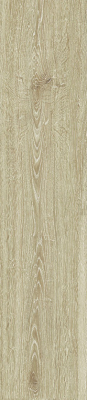 Trend 7101 Blanch Oak Grey - 228,6х1219,2 мм (упак.3,34м2)