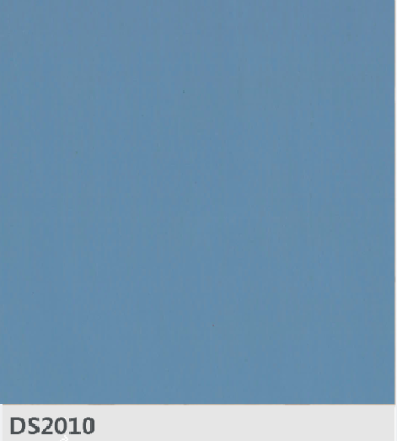 DS2010