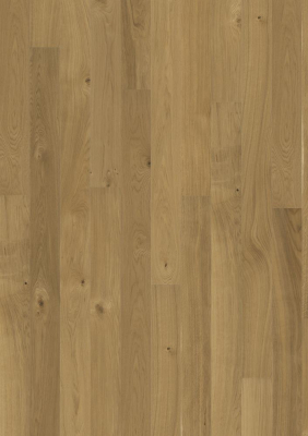 OAK 4 STORY 138 TRUE MATT,  однополосная