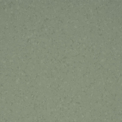 Mipolam Symbioz 6067 Kaki, рулон 2х20м