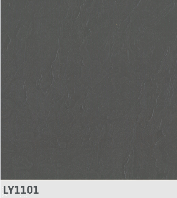 LY1101