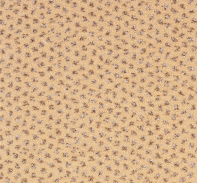 Pluto 60, ширина 4 м