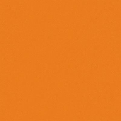 Omnisports Actions 65 Orange - 2,0 м