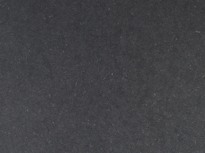 Панель Swiss CDF WB03 2070х2800х12,0mm Raw/Raw 